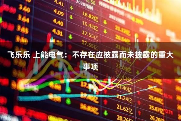 飞乐乐 上能电气：不存在应披露而未披露的重大事项