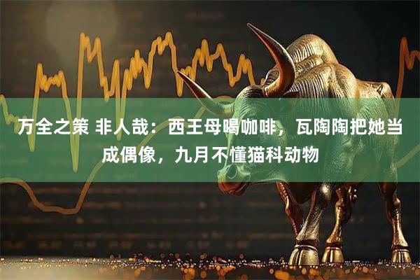 万全之策 非人哉：西王母喝咖啡，瓦陶陶把她当成偶像，九月不懂猫科动物
