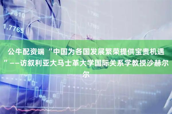公牛配资端 “中国为各国发展繁荣提供宝贵机遇”——访叙利亚大马士革大学国际关系学教授沙赫尔