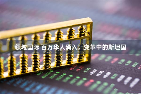 领域国际 百万华人涌入，变革中的斯坦国