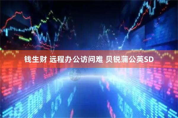 钱生财 远程办公访问难 贝锐蒲公英SD
