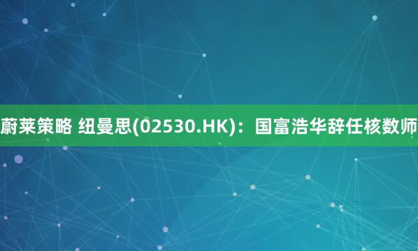 蔚莱策略 纽曼思(02530.HK)：国富浩华辞任核数师