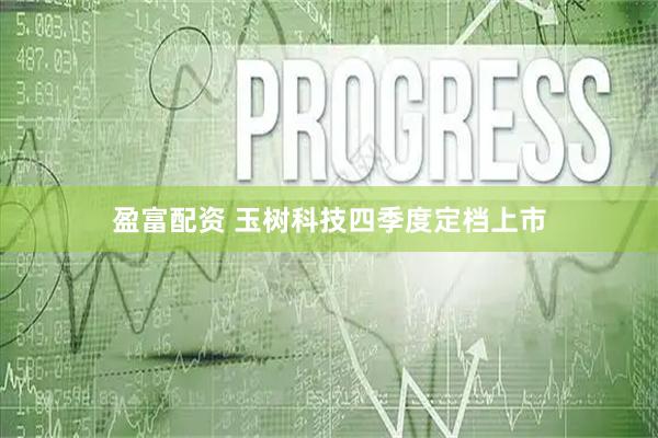 盈富配资 玉树科技四季度定档上市